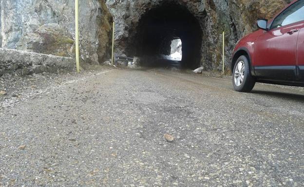 Tramo de la AS-17, entre Riaño y el puerto de Tarna.