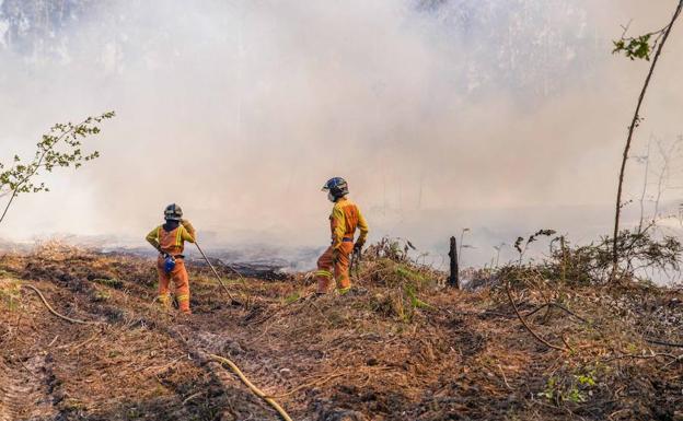 Bomberos sofocan un incendio en la comarca oriental.