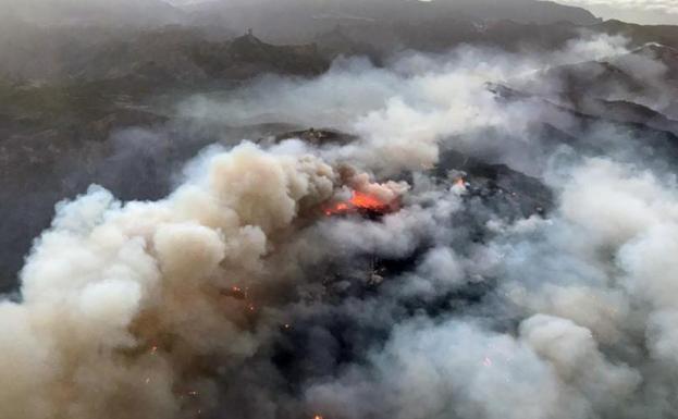 Incendio de la cumbre de Gran Canaria./Efe