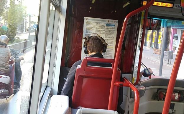 Twitter | Viaja en un autobús urbano de Granada con una serpiente en la cabeza