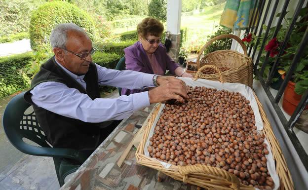 Las avellanas, en dulce y en salado