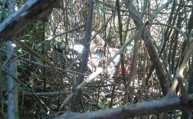 Zona en la que ha sido encontrada Carmina García./