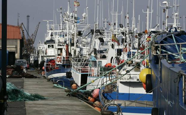 Barcos pesqueros en el puerto de Avilés./R. González