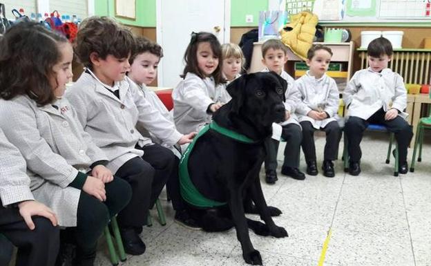 Alumnos de Infantil del Colegio Santo Ángel de Pravia participan de una dinámica junto a Lluvia /ANA CASTRO