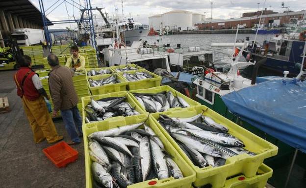 Pesca advierte de que alterar ahora la cuota de xarda para la flota asturiana sería «ilegal» Pesca advierte de que alterar ahora la cuota de xarda para la flota asturiana sería «ilegal»