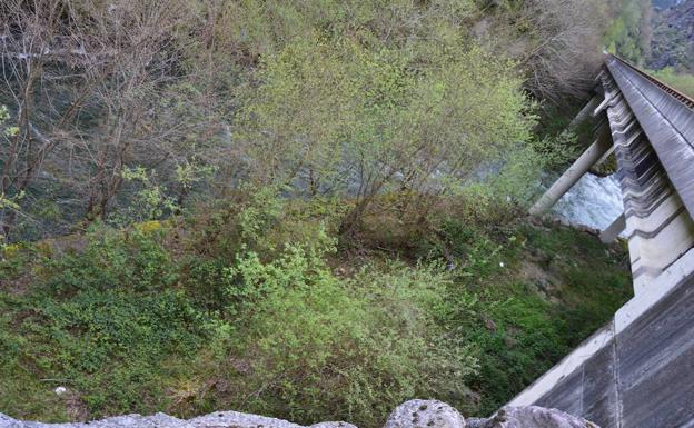 Zona del río Narcea en la que encontraron el cadáver del vecino de Cangas del Narcea./BELÉN G. HIDALGO