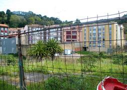 Piden la castración de los gatos que viven en la finca de Albo