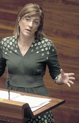 Pérez-Espinosa, durante un debate en la Junta. :: MARIO ROJAS/