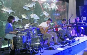 Los componentes de Tyfpe, ayer, en el Acuario. ::
J. BILBAO/