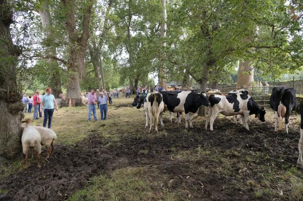 Foto de Prau de la feria en Caravia, Asturias