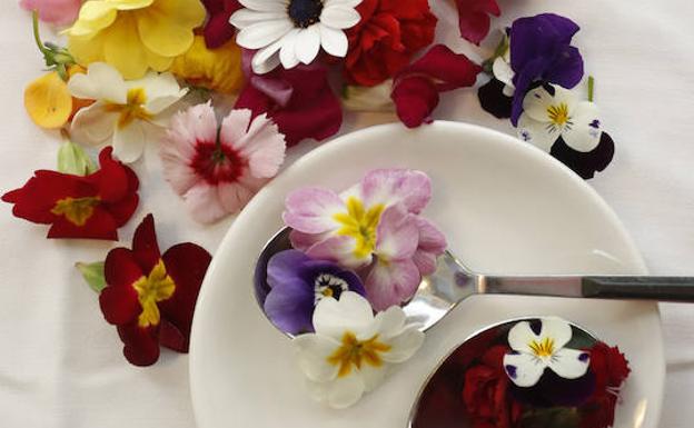 La primavera florece en el plato | El Comercio