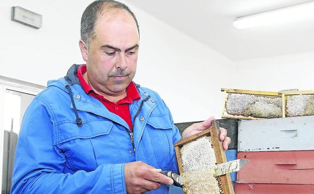 El apicultor Julio Fernández López./Joaquín Pañeda