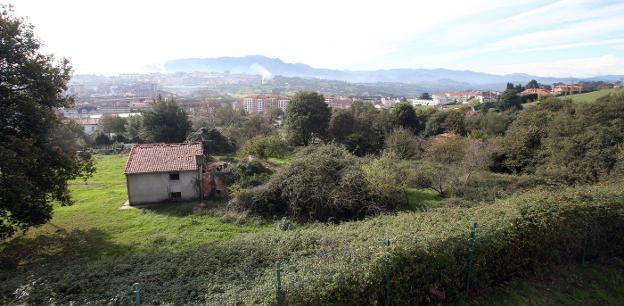 Los terrenos de Loma del Canto I, donde estaba prevista la construcción de trescientas viviendas. / ÁLEX PIÑA