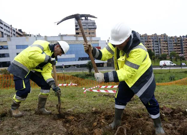 Dos operarios adecúan una parcela de Otero-Villafría para la plantación de árboles frutales. / FOTOS: PABLO LORENZANA