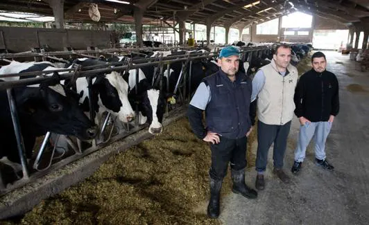 Emilio, Alfonso y Juan Manuel Fernández, en una de las naves de su ganadería, La Corona. :: Marieta/