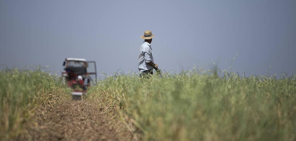 La encrucijada de la nueva PAC: proteger la biodiversidad y al pequeño agricultor - Vimarsana News