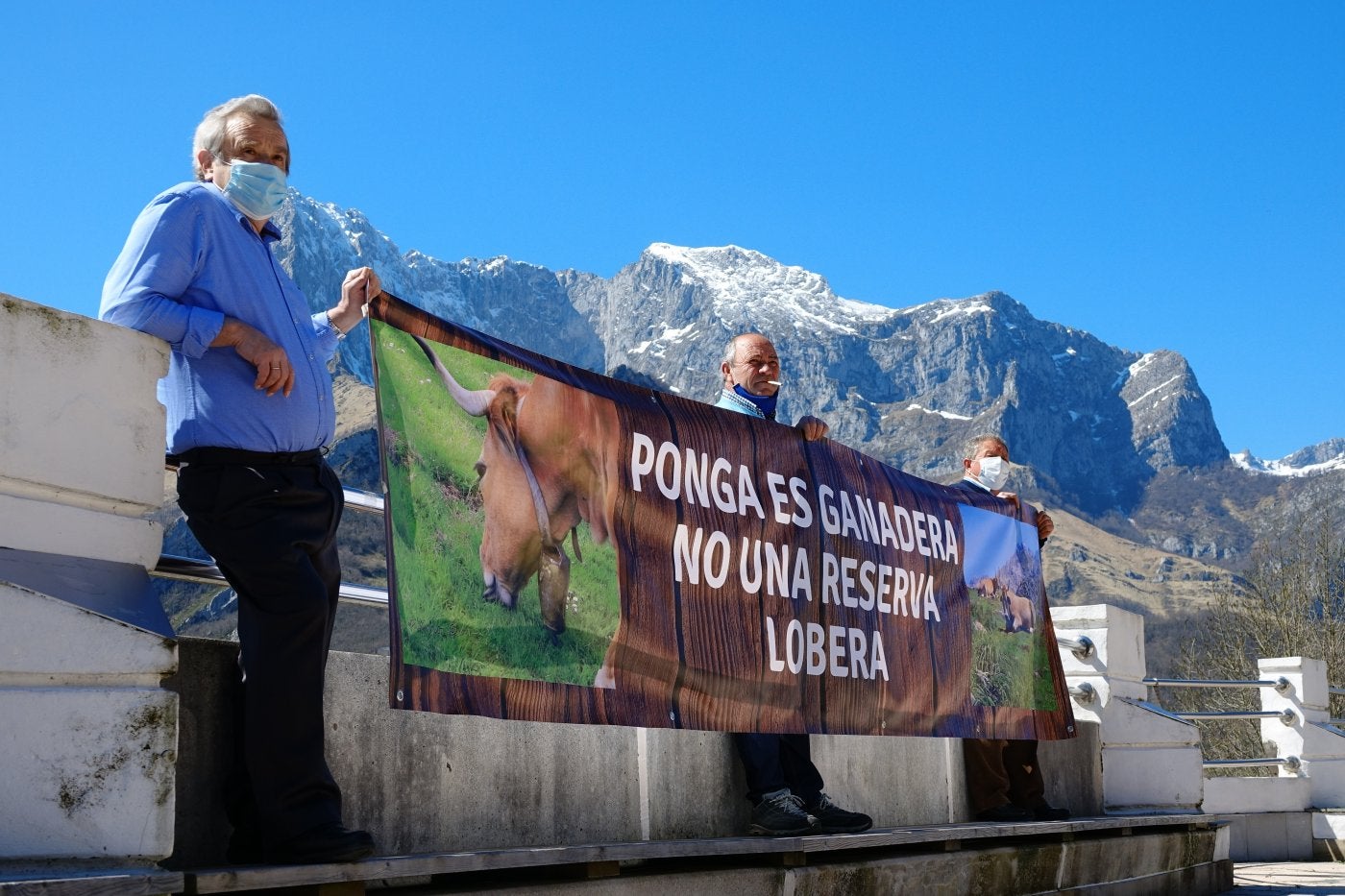 El Principado recurre la inclusión del lobo en el listado de especies protegidas - Vimarsana News