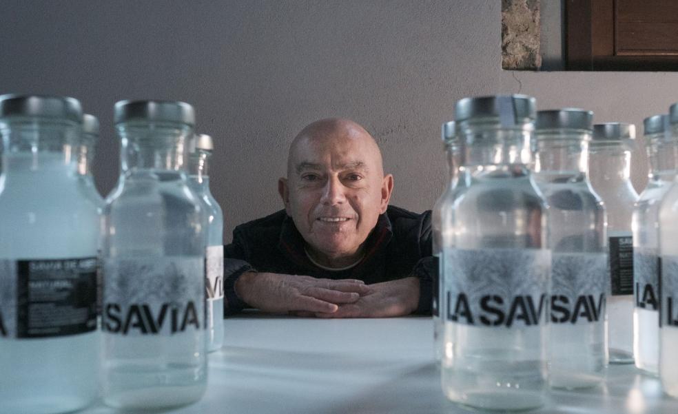 La Savia. El abedul era un árbol venerado por los celtas y ahora es también fuente de negocio para Miguel Couto./CAROLINA SANTOS