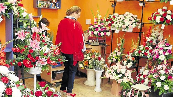 Claveles y crisantemos, las flores preferidas para Todos los Santos | El  Comercio